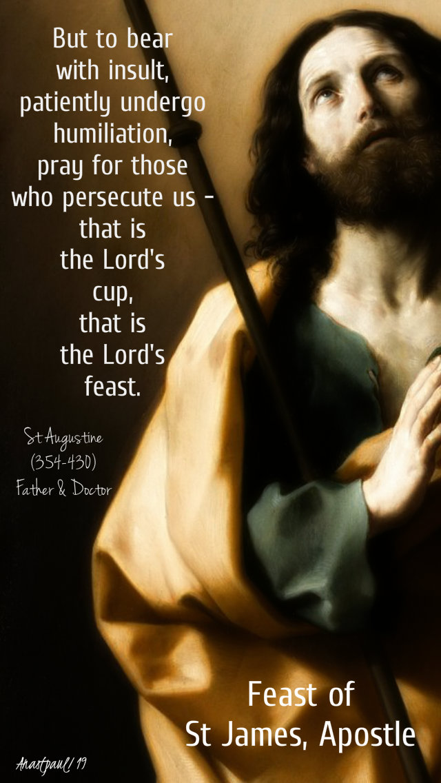 but-to-bear-with-insult-patiently-undergo-humiliation...st-augustine-feast-of-st-james-25-july-2019.-and-27-nov-2019 and 8 july 2020