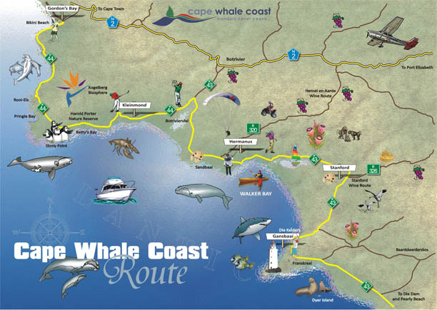 Cape_Whale_Coast_Route_Map