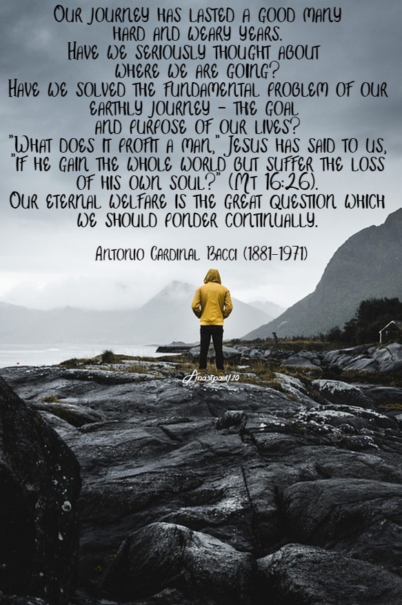 everlasting salvation - bacci 14 july 2020