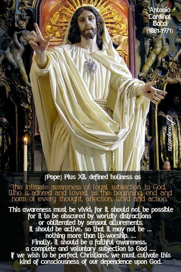 holiness - bacci 19 july 2020