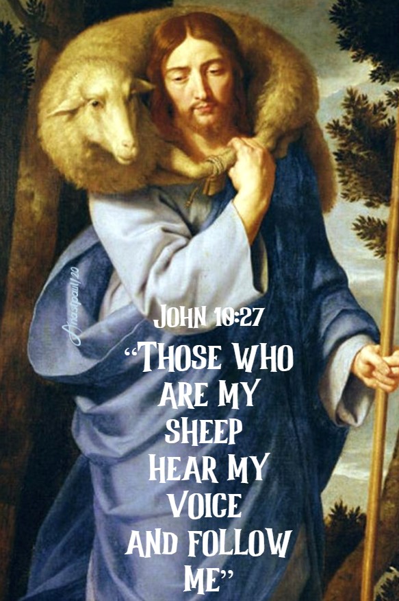 john 10 27 those who are my sheep hear my voice and follow me 12 july 2020