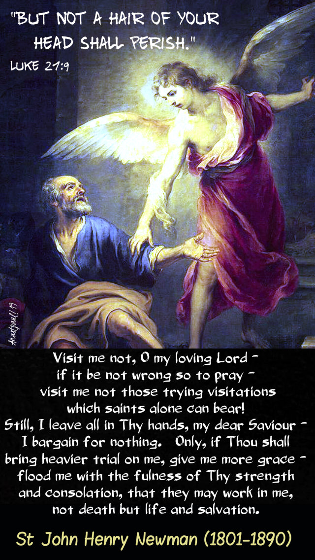 luke-21-9-but-not-a-hair-of-your-head-visit-me-not-loving-lord-st-john-henry-newman-27-nov-2019 and 10 july 2020