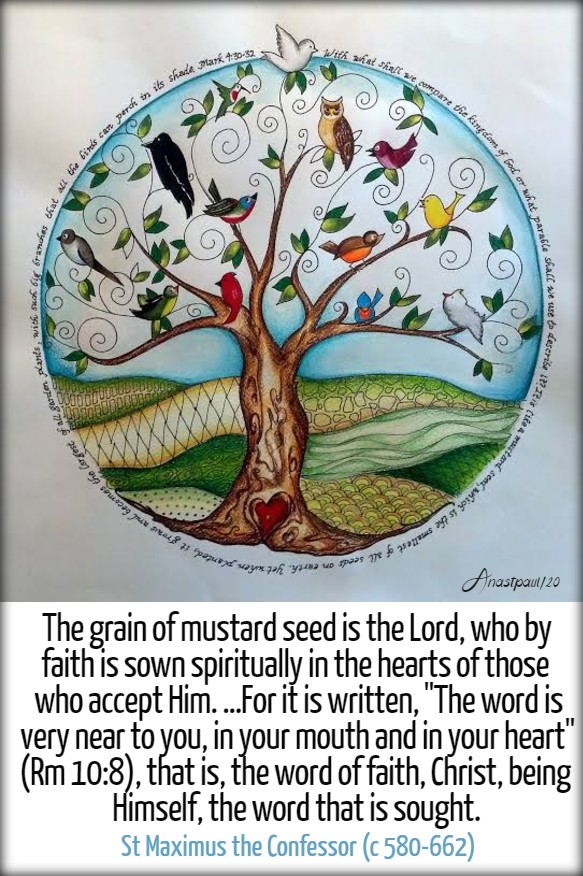 mark 4 30-31 the grain of mustard seed is the lord - st maximus 31 jan 2020 to what shall I compare