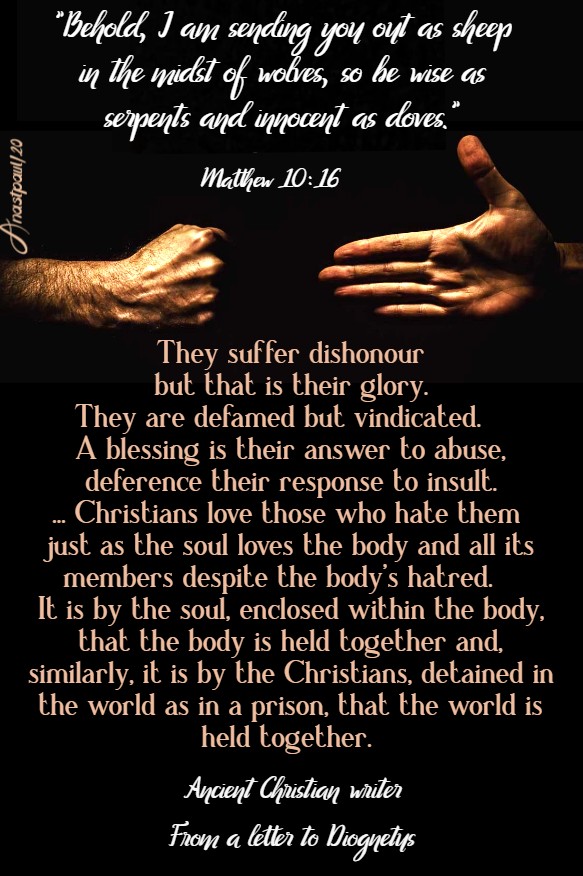 matthew 10 16 as sheep amidst the wolves - they suffer dishonour but that is their glory - diogenes 10 july 2020