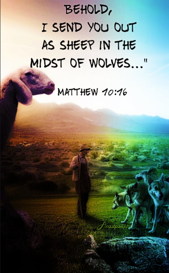 matthew 10 16 behold i send you out as sheep - 12 july 2019 and 10 july 2020