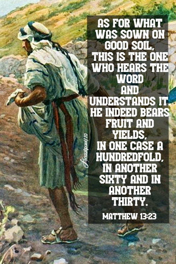 matthew 13 23 - as for what was sown on good soil - 12 july 2020
