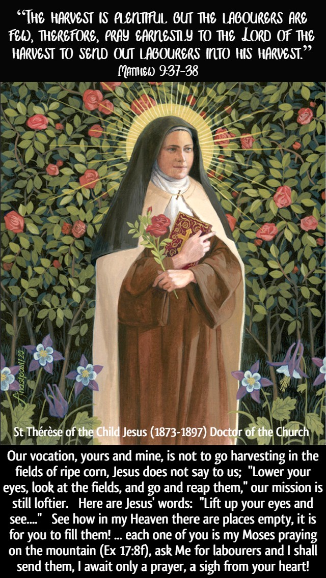 matthew 8 37-38 the harvest is plentiful - our vocation yours and mine is not to harvesting - st therese of lisieux 7 july 2020
