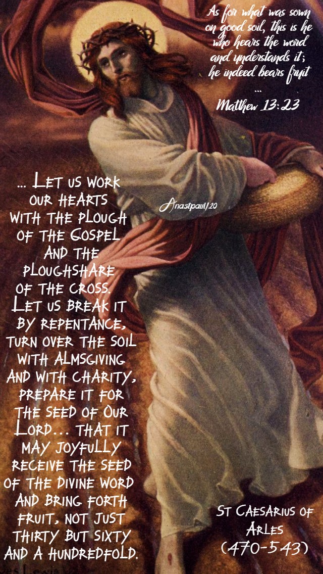 matthew13 23 - as for what was sown on the good soil-let us work our hearts with the plough of the gospel and the ploughshare of the cross - st caesarius 12 july 2020