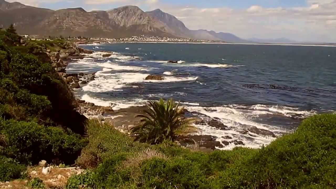 maxresdefault hermanus cape whale coast