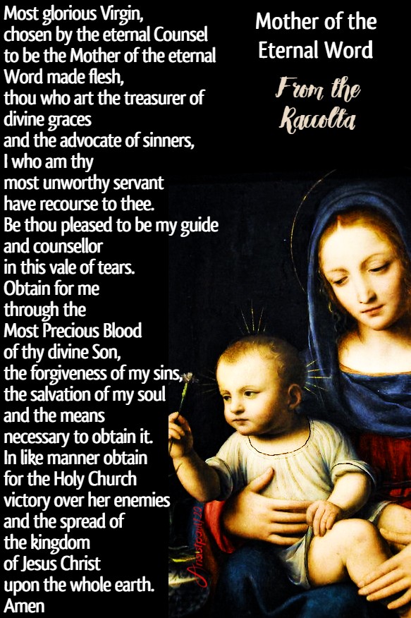 mother of the eternal word from the raccolta 4 july 2020