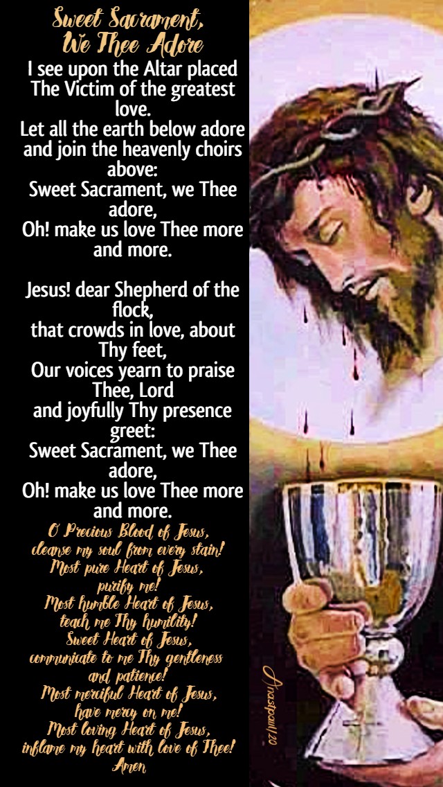 Sweet sacrament we thee adore - 19 july 2020