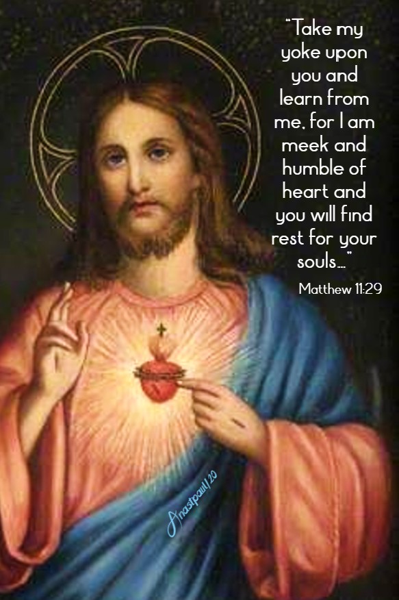 take my yoke upon you - matthew 11 29 5 july 2020