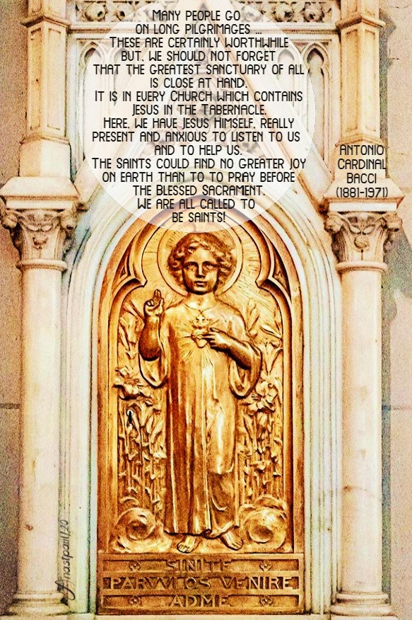 the eucharistic life - many people go on long pilgrimages - bacci 5 july 2020