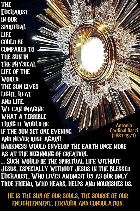 the eucharistic life - the eucharist in our spiritual life - bacci 5 july 2020