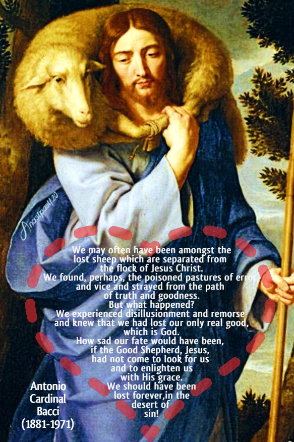 the good shepherd - we may often have been - bacci 3 july 2020