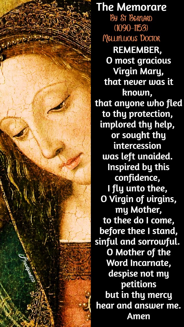the memorare st bernard 20 may 2020