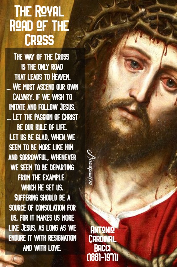 the royal road of the cross - bacci 22 july 2020