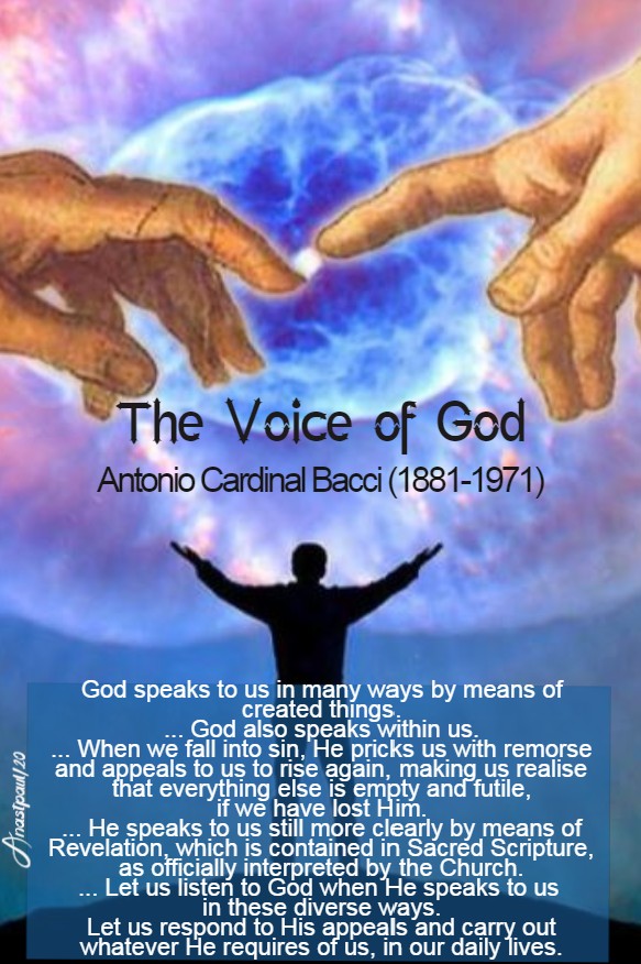 the voice of god - bacci 17 july 2020