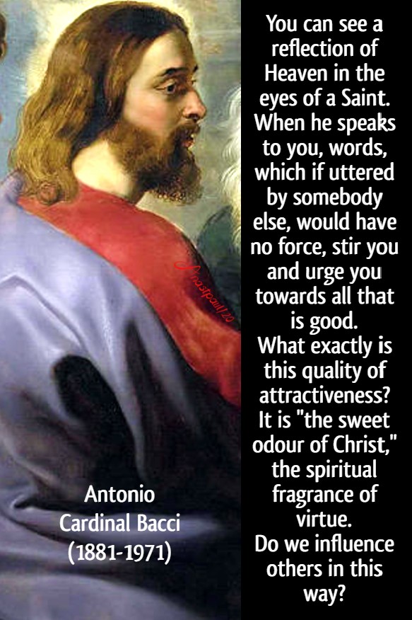 you can see a reflection of heaven in the eyes of a saint - bacci the good odour of christ - 11 july 2020