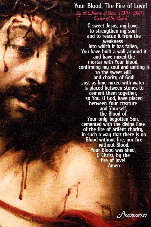 your blood the fire of love - st catherine of siena 24 july 2020