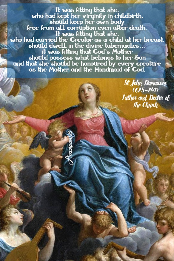 it was fitting that she - st john damascene 15 aug 2020 assumption