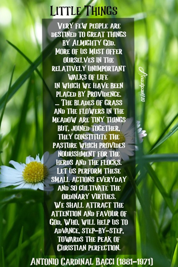 little things - bacci 14 aug 2020