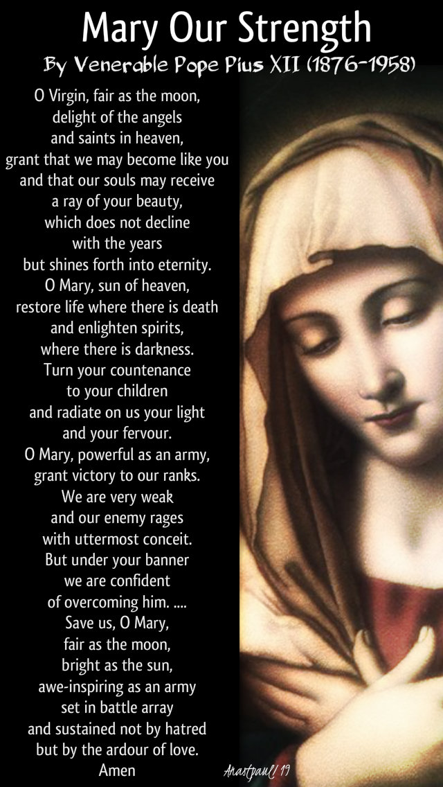 mary our strength by pope pius XII - 3 august 2019