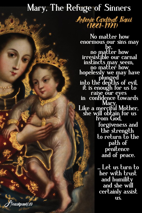 mary the refuge of sinners - bacci 14 may 2020