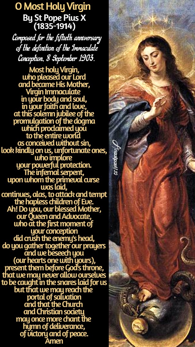 Novena in Preparation for the Feast of the Nativity of the Blessed ...