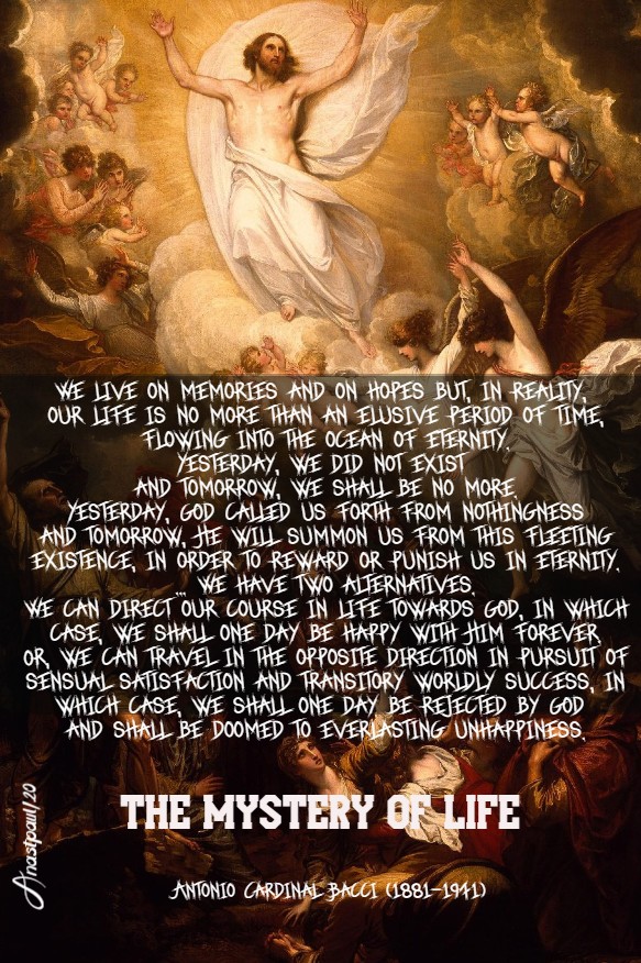 the mystery of life - bacci - 9 aug 2020