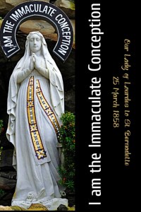 Quote/s of the Day – 12 December – Our Lady Speaks – AnaStpaul